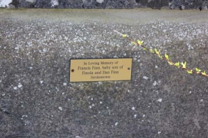 Finn Francis Strokestown